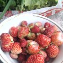 ���� ������, ������������ - ��������� 7 ������� 2015 � ������ ���� ����������