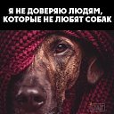  ,  -  2  2015    