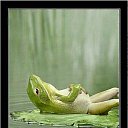 ���� ������, �������������, 61 ��� - ��������� 7 �������� 2015 � ������ ���� ����������