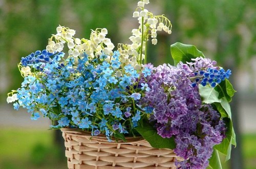 |В| Счастье есть... |В| - 15 мая 2015 в 23:12 - 5