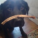 ���� ����, ����������, 38 ��� - ��������� 29 ������� 2015 � ������ ���� ����������