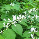  , -, 43  -  17  2015   