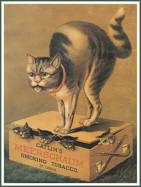Cat in Old Ilustratives / Кошки на старых иллюстрациях - 3