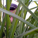 ���� Gela, ������� - ��������� 13 ������� 2015 � ������ ���� ����������