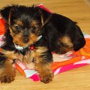 ���� �����, �����������, 56 ��� - ��������� 20 �������� 2015 � ������ ���� ����������