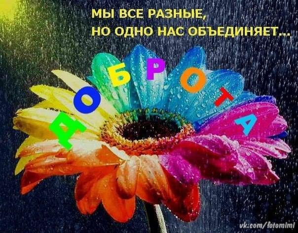  - 11  2015  23:14