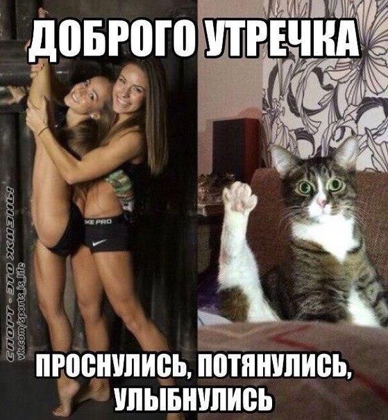  -   - 11  2015  09:09