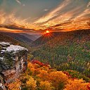 ���� Kato, �������, 41 ��� - ��������� 3 �������� 2015 � ������ ���� ����������