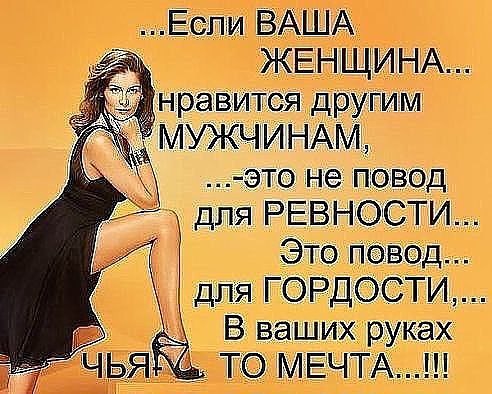  - 23  2015  19:11