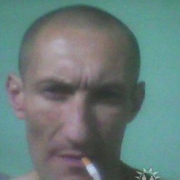 ����, �������, 51 ���