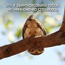 ���� ����, ������, 44 ���� - ��������� 22 ��� 2015 � ������ ���� ����������