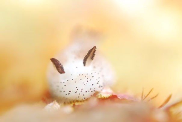  .#animal@travel.blog - 4