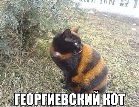   | , ,  - 13  2015  03:01