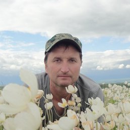 ����, ������, 56 ���