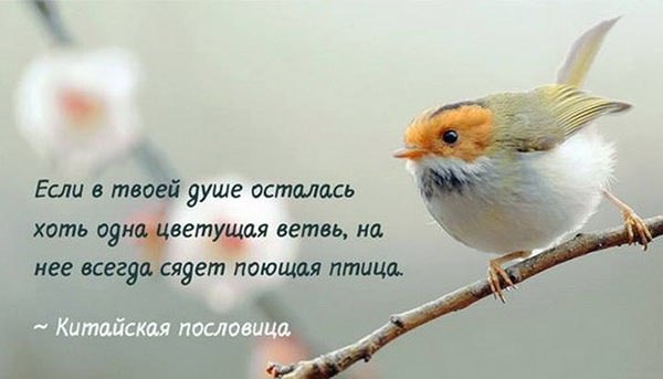   - 22  2015  12:21