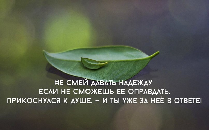   - 21  2015  14:42
