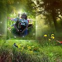 ���� ���������, �����, 65 ��� - ��������� 13 ���� 2015 � ������ ���� ����������