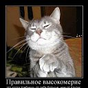 ���� Rita, �������, 58 ��� - ��������� 22 ������� 2015 � ������ ���� ����������