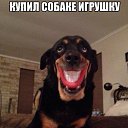 ���� ��������, ������, 51 ��� - ��������� 16 ������� 2015 � ������ ������ ��������