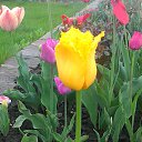 ���� �������, ����, 69 ��� - ��������� 16 ��� 2015