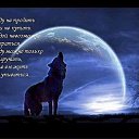  Nelli>>>........................, -, 49  -  10  2015    
