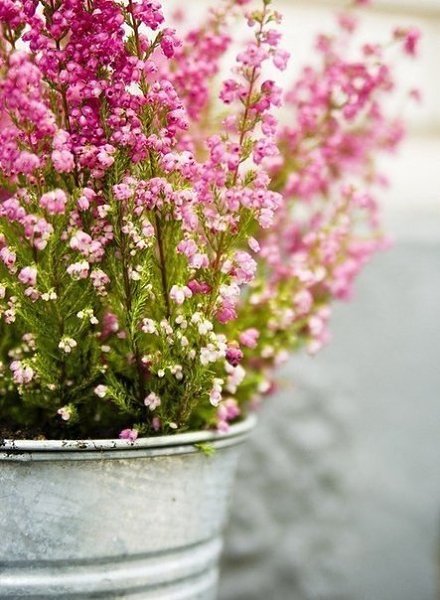 ||  ... || - 12  2015  15:29 - 2