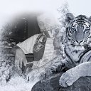 ���� �������, ������, 44 ���� - ��������� 28 ���� 2015 � ������ ���� ����������