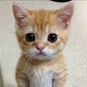 ���� �ia, ������ - ��������� 25 ������� 2015 � ������ ���� ����������