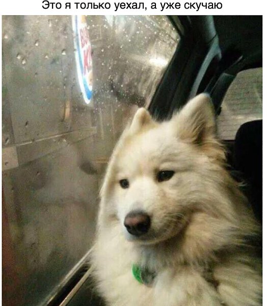  ,    .