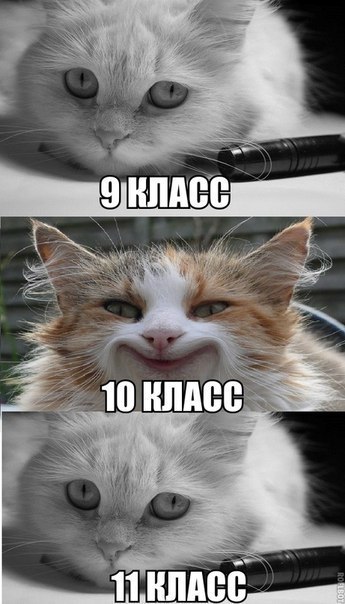 ☆   ☆ - 4  2015  02:11