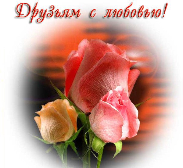 Вы знаете, мне так Прекрасно жить, Встречая Каждый День родные лица, Открыв свою контактную страницу ...