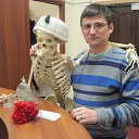 ���� �����, ����� - ��������� 7 ������� 2015