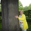 ���� ��������, ������ - ��������� 27 ��� 2015 � ������ ���� ����������