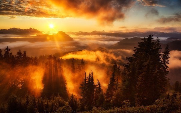 ,   ,        :).#_@interestplanet_ru - 6
