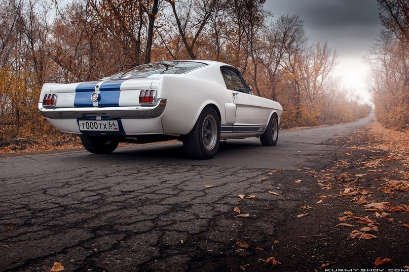 Ford Mustang Shelby GT350. - 6