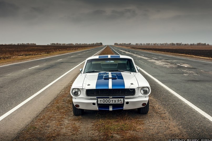 Ford Mustang Shelby GT350. - 4