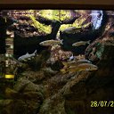 ������� � ���������. �� ������� ������ 2013�