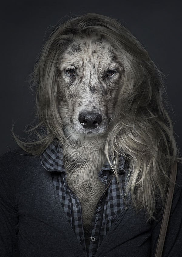   .      (Sebastian Magnani)   ... - 2