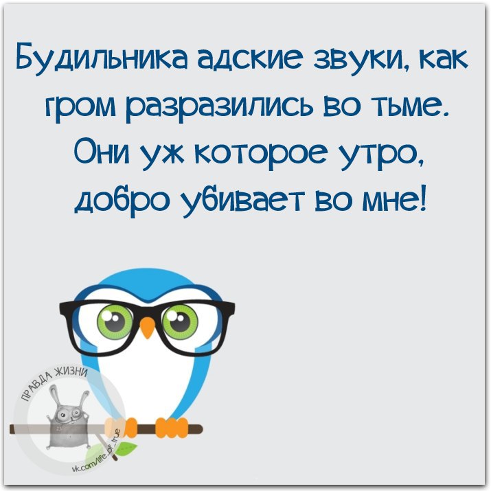   - 11  2015  10:44