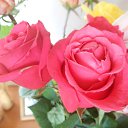 ���� Akulina Mikulishna, �����-��������� - ��������� 20 ���� 2015 � ������ �������