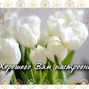 ���� �������, ��������� - ��������� 27 ��� 2015 � ������ �������� ��������