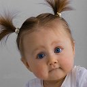 ���� �����, ������� ��������, 54 ���� - ��������� 29 ������ 2015 � ������ ���� ����������