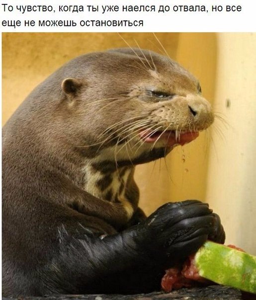  ... - 3