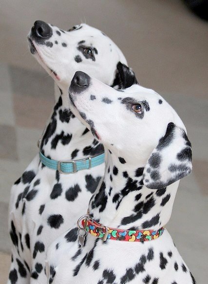   - 9  2015  18:05 - 2