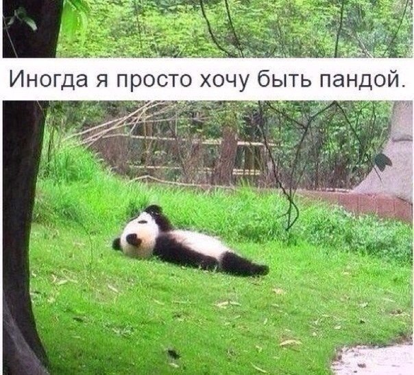    !  )