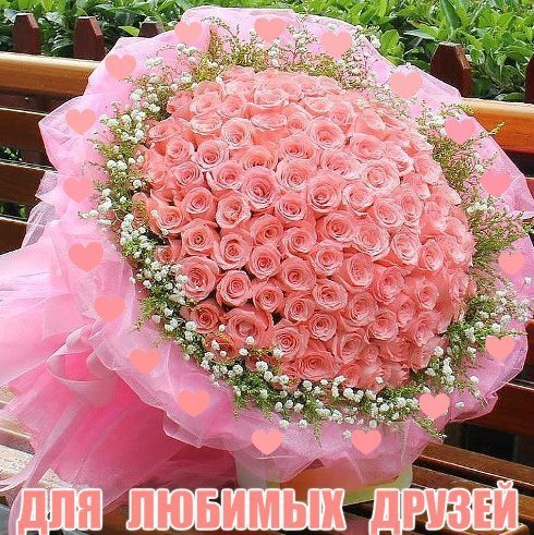 ~Dasha~ - 2  2015  00:03