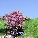 ���� �������, �����������, 53 ���� - ��������� 10 ��� 2015 � ������ �9 ��� ������������