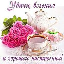 ���� �������, �������, 55 ��� - ��������� 12 ������� 2015 � ������ ������ ��������
