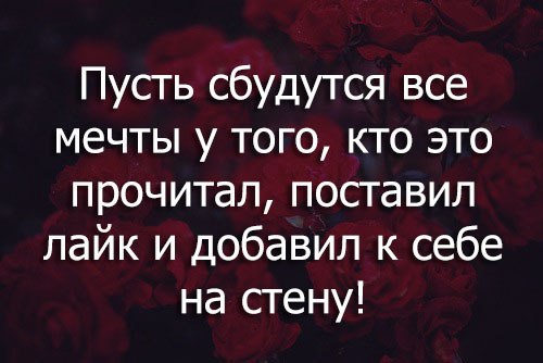    - 16  2015  19:08