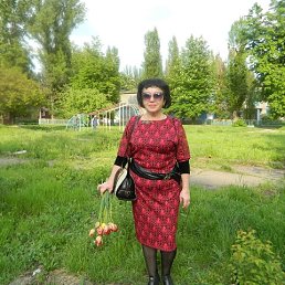 , 65,  